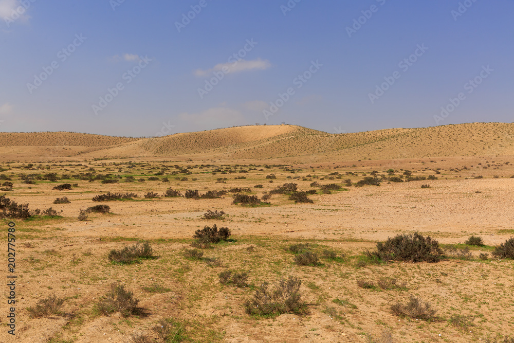 Far hills with a fresh grass in desert under sky at winter