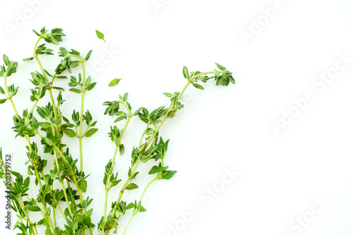 Macro image of bunch of fresh thyme on white background with copy space