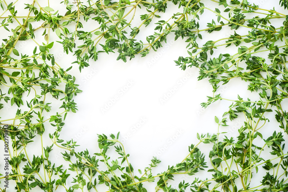 Thyme leaves and twigs arranged in frame form with text space on white background Thyme leaves and twigs arranged in frame form with text space on white background