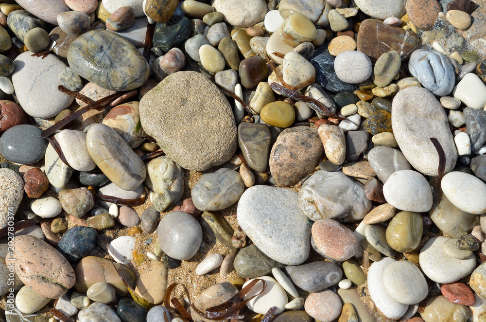Pebble stones on sand beach for texture or background. Grey, white stones and sea weed. Sea beach stones in Cyprus Pebble stones on sand beach for texture or background. Grey, white stones and sea weed. Sea beach stones in Cyprus