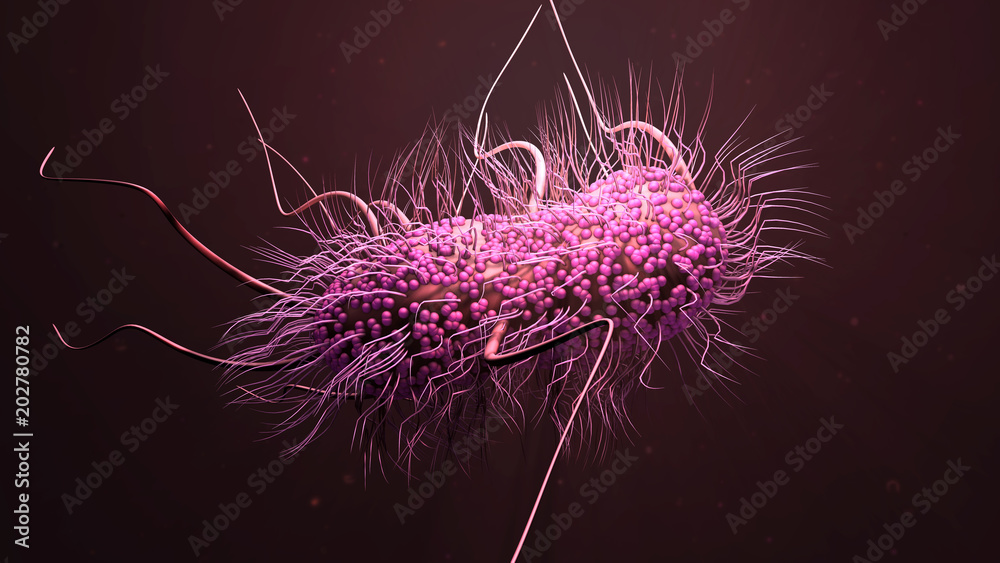 Fotografie bacteria E.coli