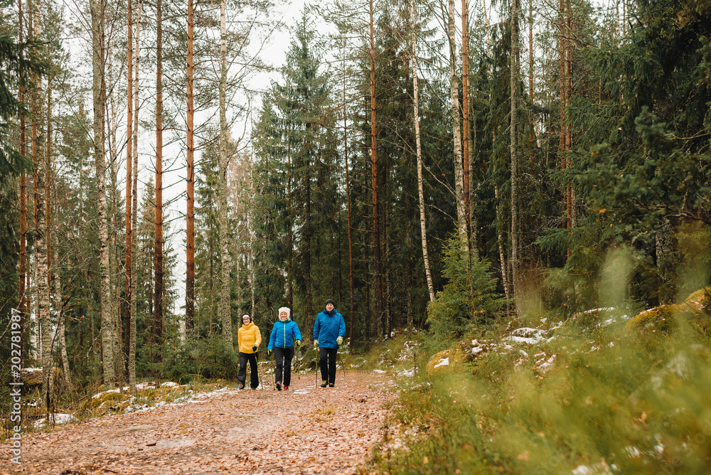 Obraz premium Nordic walking