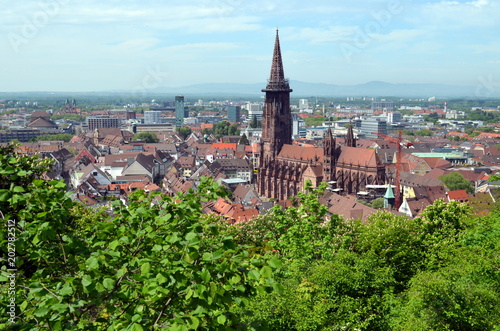 Grünes Freiburg