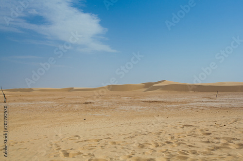 Landscape of Sahara desert in Tunisia