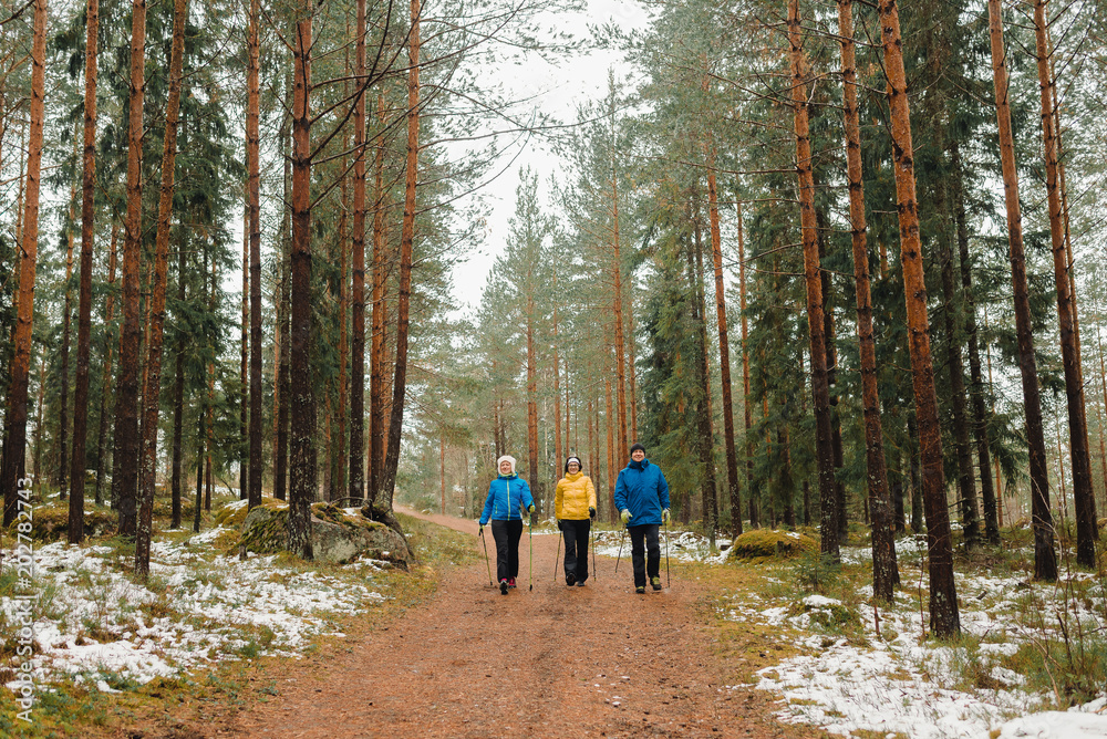 The company of people strolls through the forest The company of people strolls through the forest