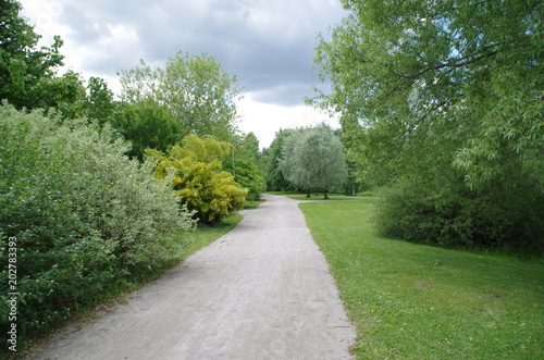 Summer park walkway in Finland with trees  bushes and cloudy sky