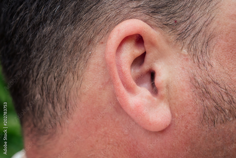 ear of a happy and cheerful dark-haired man ear of a happy and cheerful dark-haired man