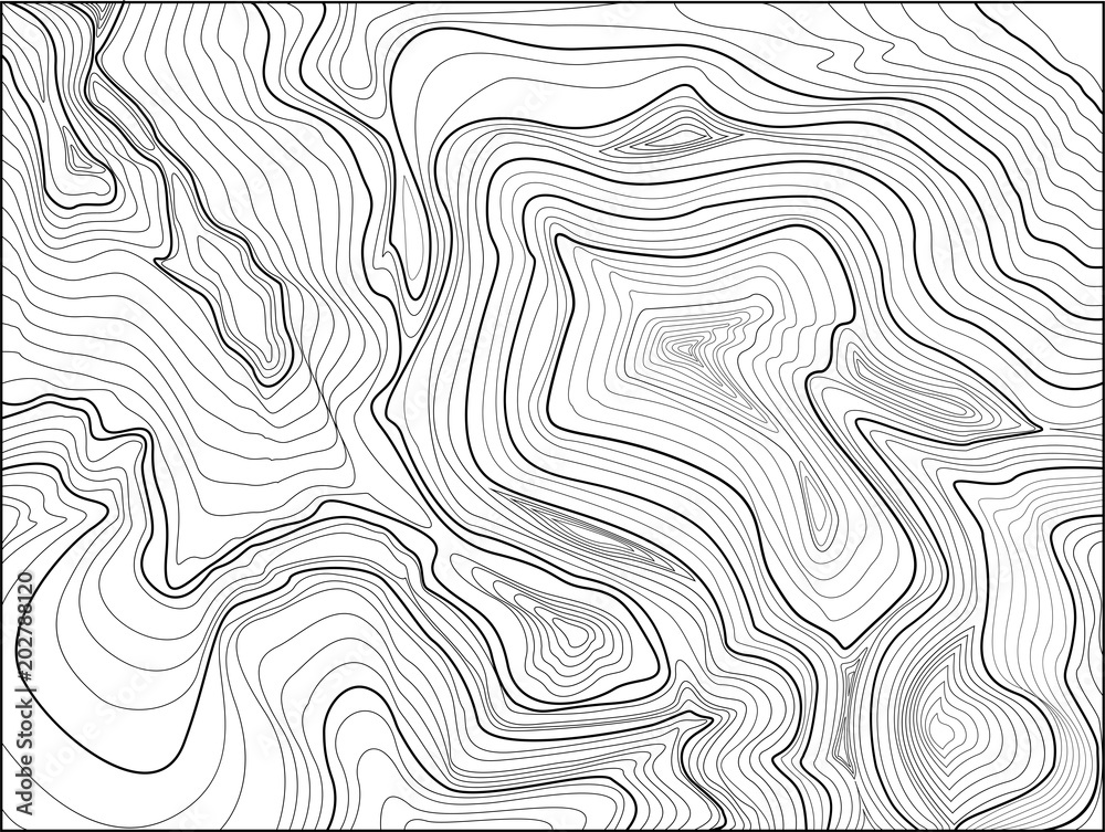 Topographic Map, Contour Background. Map Grid Abstract Vector