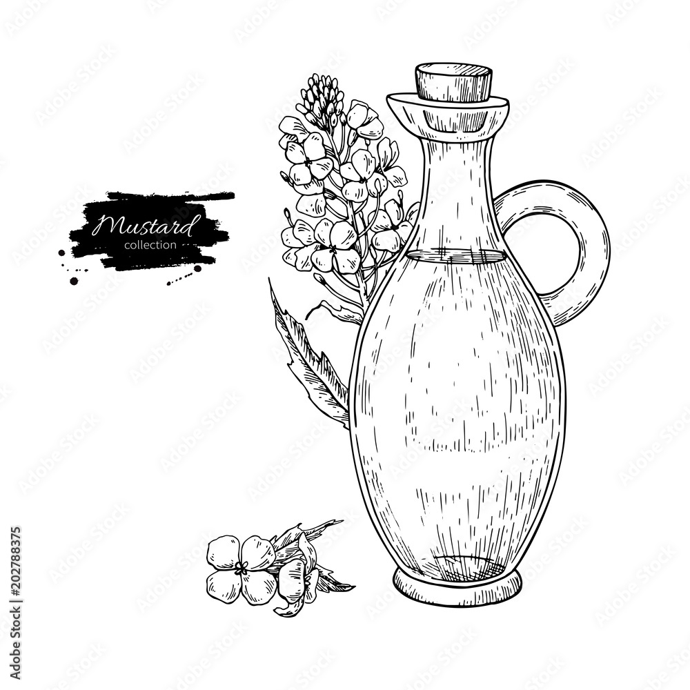 Φωτογραφία Bottle of mustard oil with plant. Vector Hand drawn illustration.