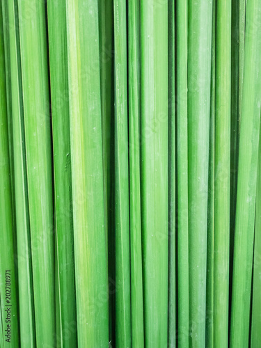 Green leaf background abstract