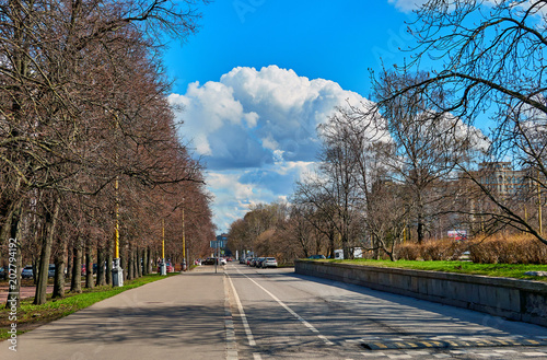 Tree alley near chemistry department of Moscow university in spring under cloudy blue sky
