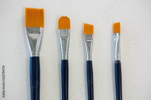 Various paintbrushes arranged in a row