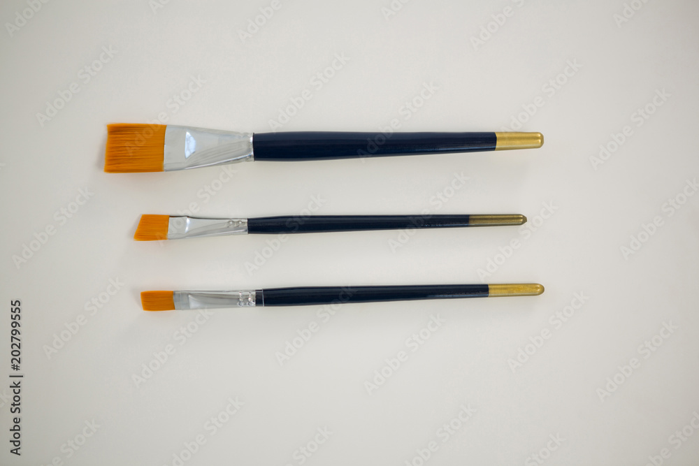 Set of paintbrushes arranged in a row Set of paintbrushes arranged in a row