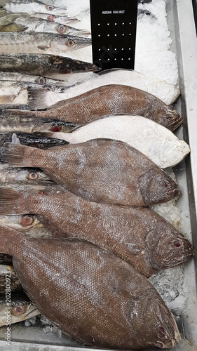 Wallpaper Mural indian halibut on ice in supermarket. Torontodigital.ca