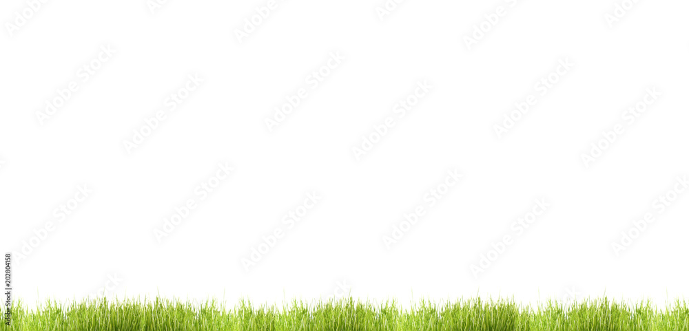 green grass meadow blades of grass isolated lawn 3d illustration green grass meadow blades of grass isolated lawn 3d illustration