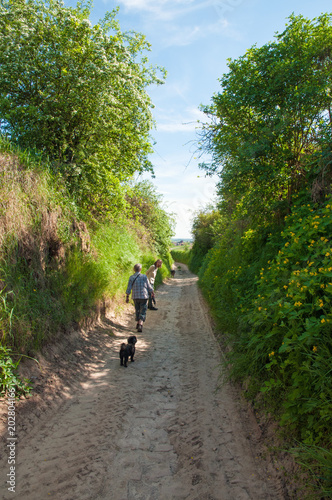 hohlweg bei alsheim am rhein