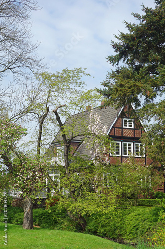 frühling im alten land photo