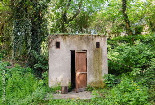 Old bunker in the forest