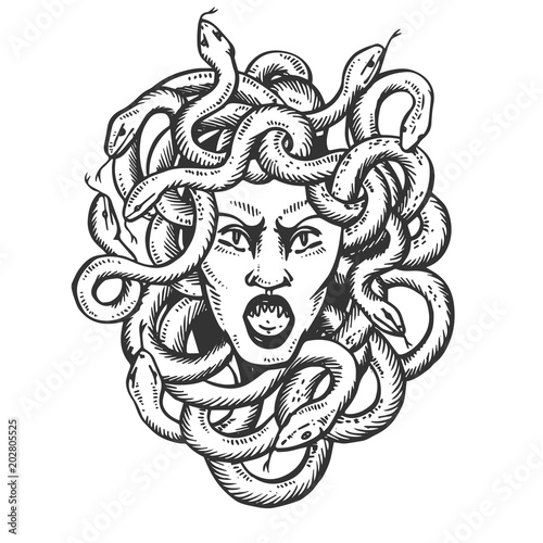 Medusa greek myth creature engraving vector