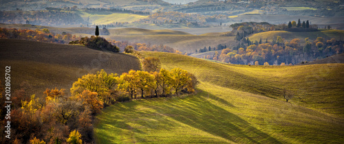 Tuscany. Tuscan landscape, rolling hills in the sunset light. italy photo
