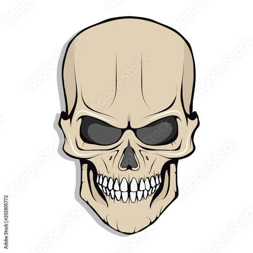 Skull illustration. Evil skull on white background. Vector graphics to design. © avtorpainter