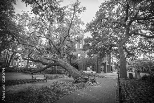 Hurricane Matthew, Savannah GA