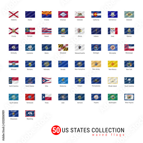 50 US States Vector Flag Set. Official Vector Flags of All 50 States. US States Waved Flags with Names