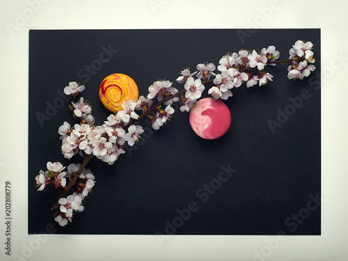 Two unusual beautiful macaron \ macaroon and a branch of a flowering tree. Black matte background. Sweet delicious dessert in the style of minimalism. Flowering cherry, sakura, apple, plum.