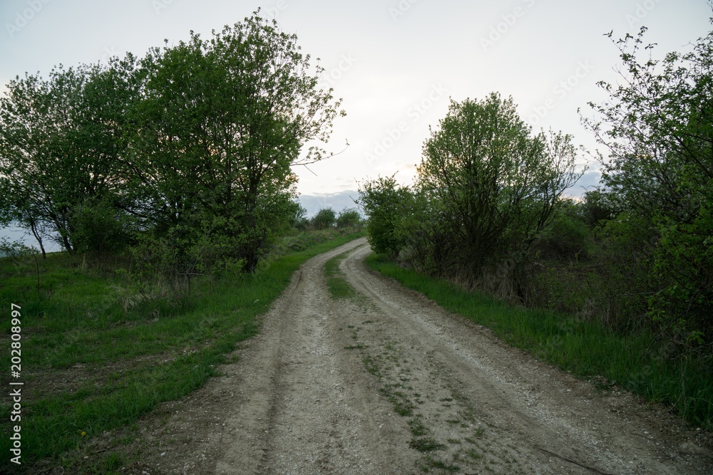Path on the meadow with tree and sunset. Slovakia Path on the meadow with tree and sunset. Slovakia