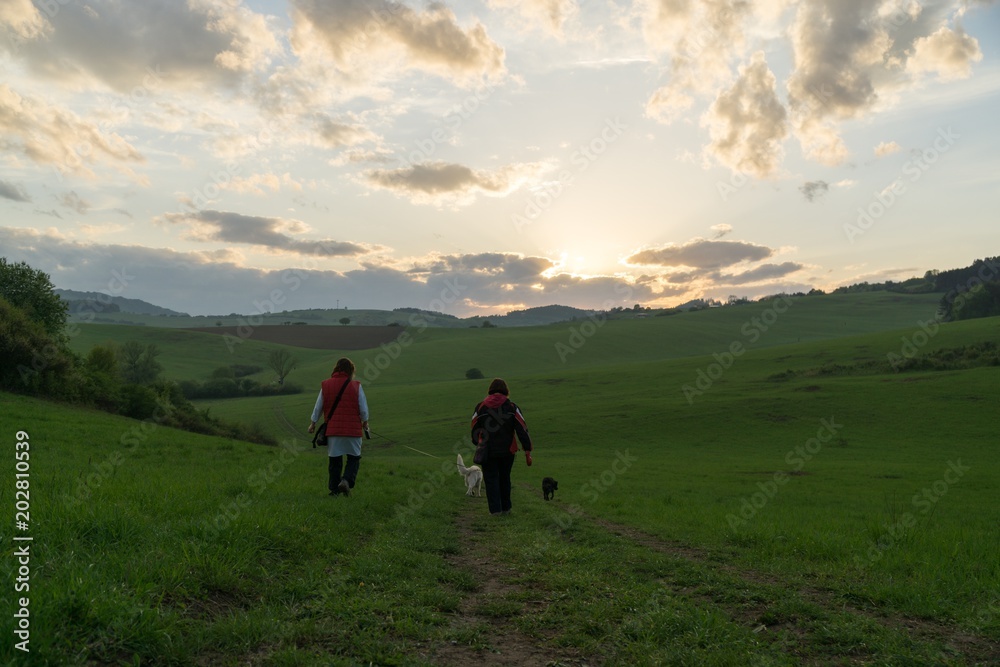 People walking on a meadow during sunset. Slovakia