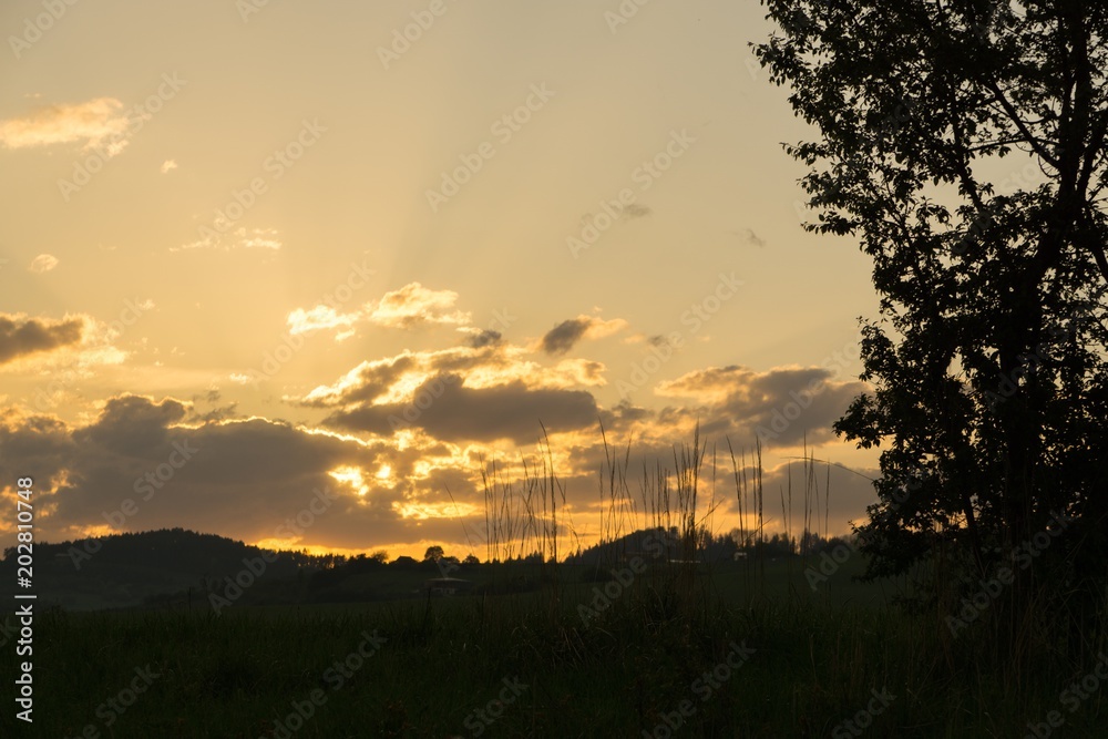 Sunset on meadow with hills and tree. Slovakia Sunset on meadow with hills and tree. Slovakia