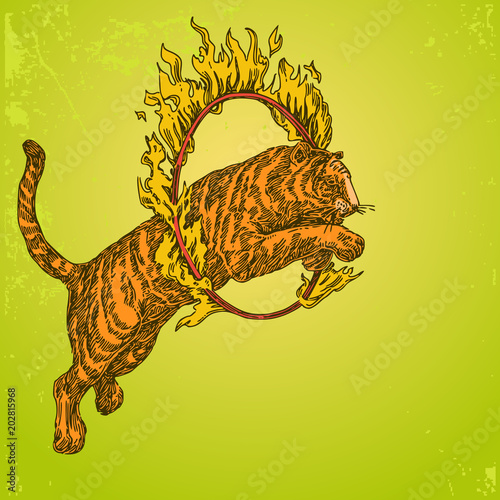Vintage color background. Circus tiger jumping through a ring of fire. Engraving style. Vector illustration.