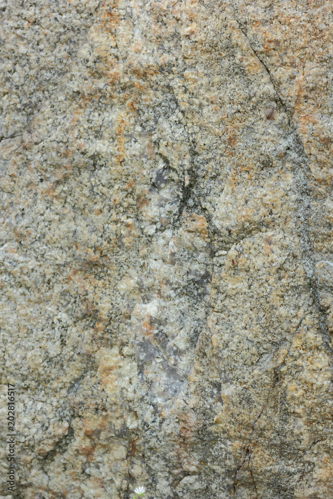 Natural stone granite texture, granite pattern. Stone background of mottled granite igneous rock used for kitchen worktops etc. Surface of the marble with brown tint Natural stone granite texture, granite pattern. Stone background of mottled granite igneous rock used for kitchen worktops etc. Surface of the marble with brown tint