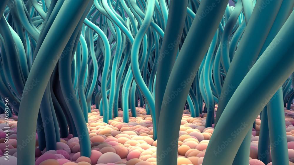 Фотография Ciliated Cells