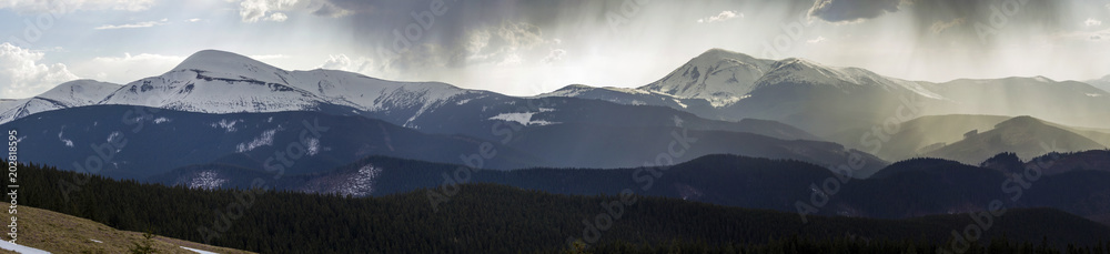 Breathtaking panoramic view of magnificent foggy Carpathian mountains, covered with ever-green forest on misty quiet morning or evening under dark cloudy sky. Mountains snow covered tops in distance. - obrazy, fototapety, plakaty 