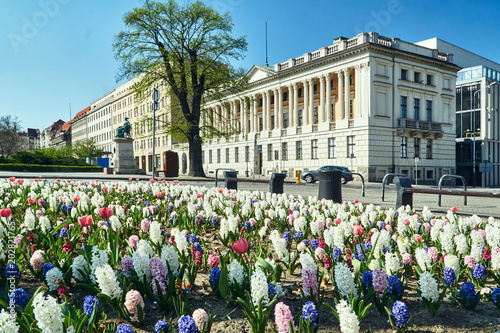 Flower beds with colorful flowers in front of the public library building in spring in Poznan.