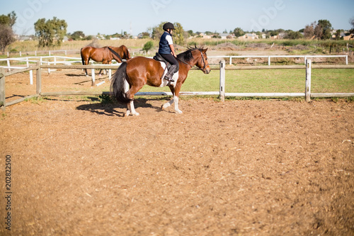 Boy riding a horse in the ranch © WavebreakmediaMicro