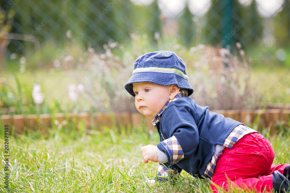 Sweet toddler boy in garden, child playing with little bunny, springtime Sweet toddler boy in garden, child playing with little bunny, springtime