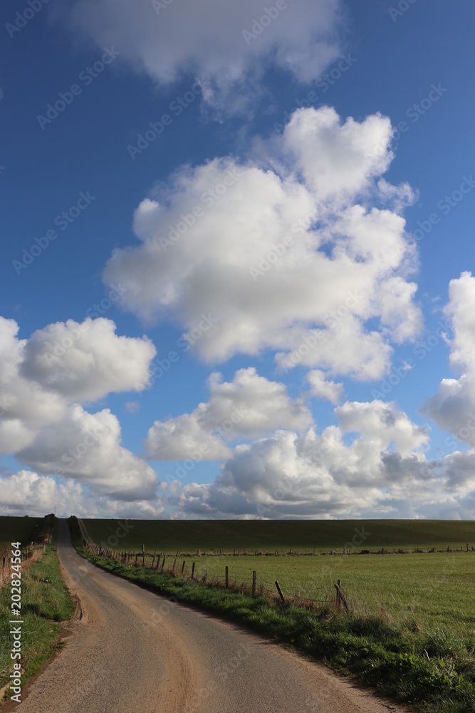 Country road through fields under blue sky with fluffy white clouds