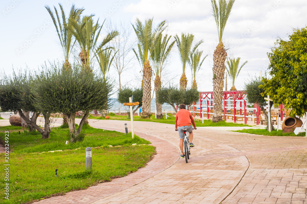Fototapeta premium Guy riding bicycle in the park, back view