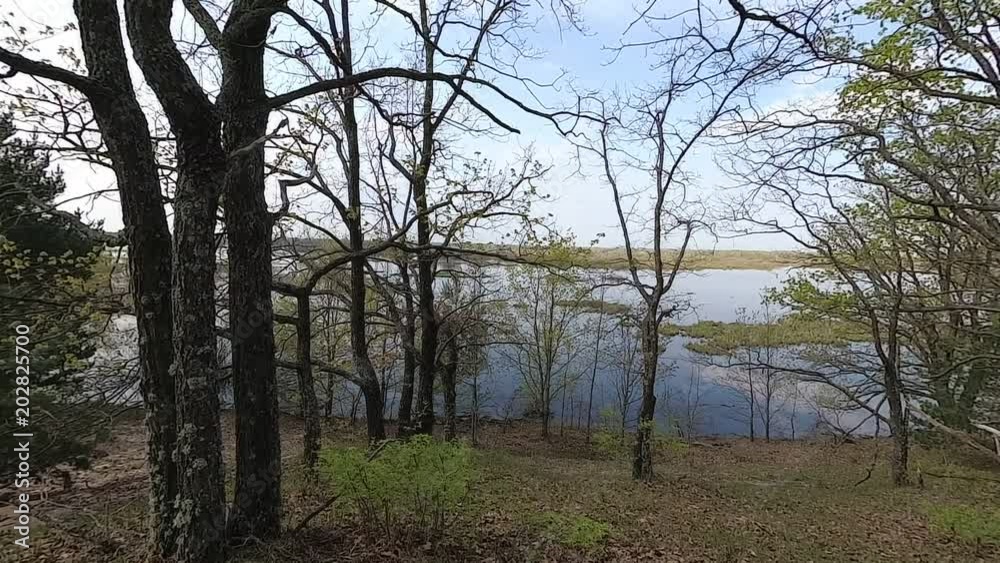 Belarus. Spring. Forest on a hill in the period of high water. Belarus. Spring. Forest on a hill in the period of high water.