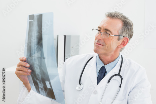 Doctor looking at xray picture of spine in office photo