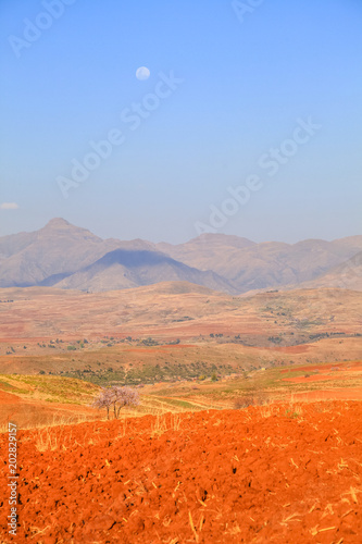 Malealea street village near mountain and cultivation field photo