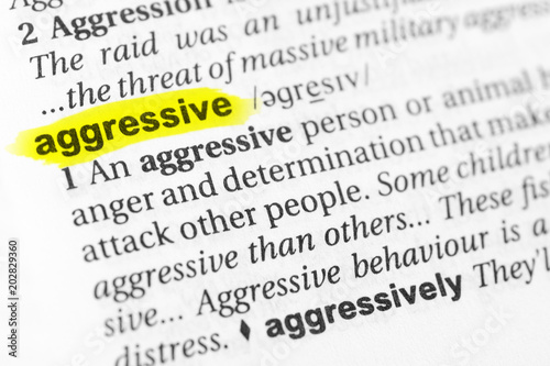 Highlighted English word "aggressive" and its definition in the dictionary