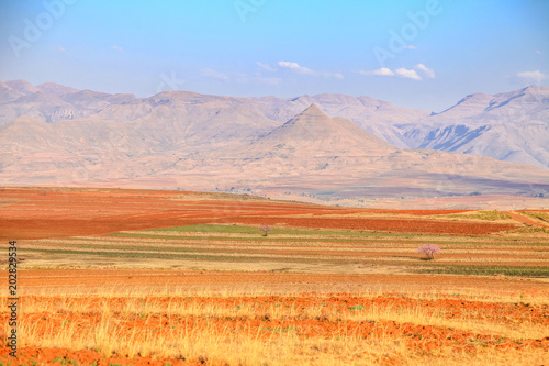 Dramatic beautiful mountain landscape with terrassed fields during spring, Lesotho, Southern Africa photo