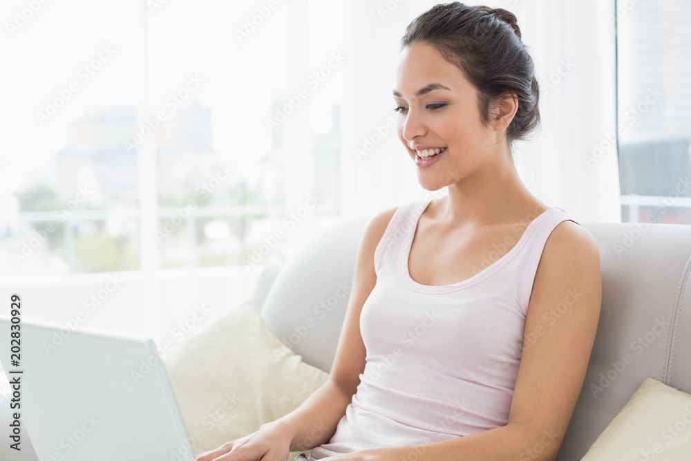 Young woman using laptop on sofa in living room