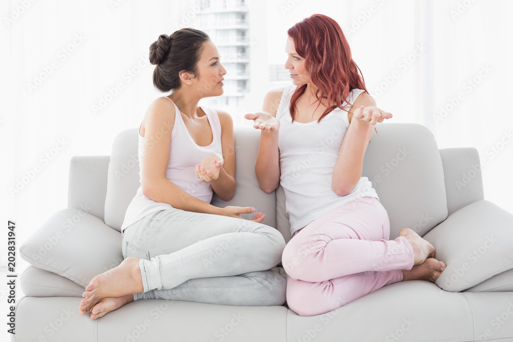 Female friends chatting in the living room Female friends chatting in the living room