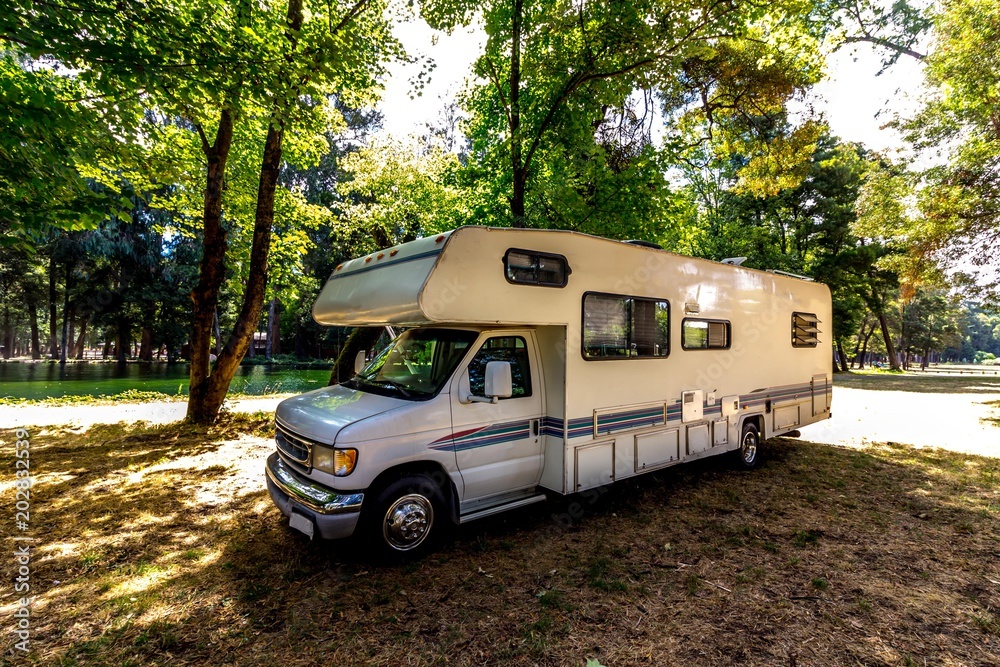 Family trip in motorhome in forest or park in South Chile