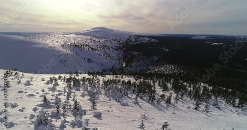 Aerial tilt view over tykkylumi snow covered trees on pyhatunturi revealing noitatunturi and arctic wilderness, on a cold, sunny winter day, in Pyha-luosto national park, in North Finland photo