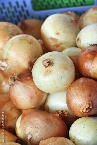 Fresh onion for cooking at street food